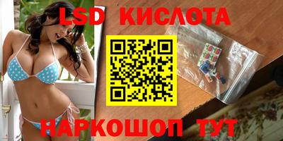 шишки Будённовск