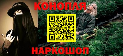 шишки Будённовск