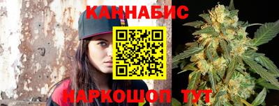 шишки Будённовск