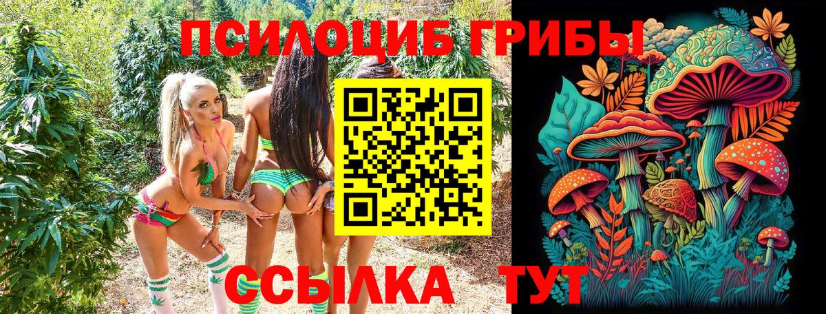 Смоленск  Галлюциногенные грибы MAGIC MUSHROOMS  Галлюциногенные грибы мухоморы  Вход с VPN 